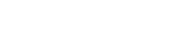 Fed Gov Solutions, Inc. text logo